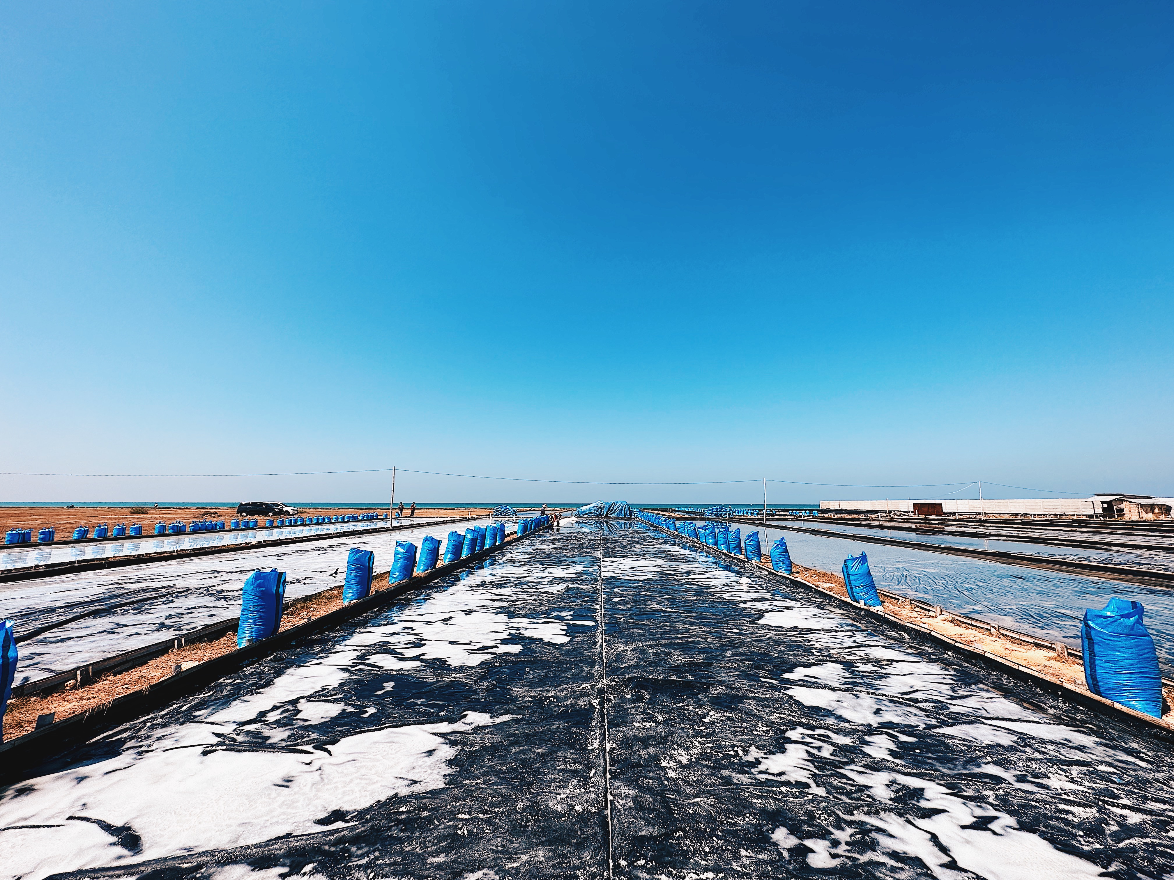 Produk garam Elitestar Primajaya